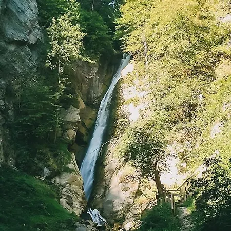 Daire Haus Niederreiter *